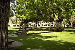 Pont Petrifie 04220